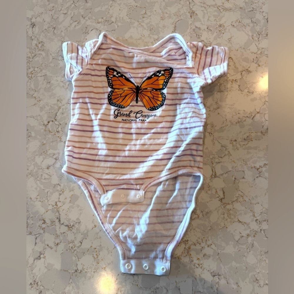 12M- Grand Canyon National Park Striped Baby Onesie - Orange Butterfly